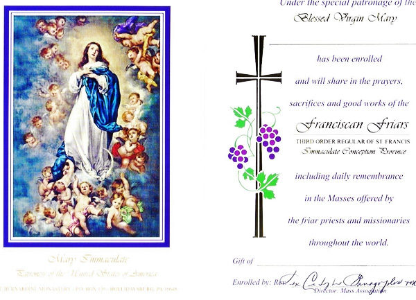 Perpetual Enrollment (Blue) - Image 2
