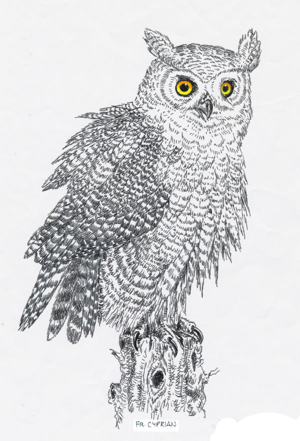 Bird Note Cards - Original Art by Franciscan Friar Cyprian Mercieca, T.O.R. - Image 9