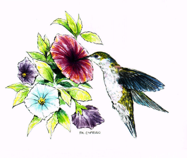 Bird Note Cards - Original Art by Franciscan Friar Cyprian Mercieca, T.O.R. - Image 2