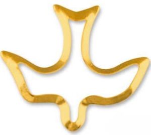 Dove Pin Outline Gold