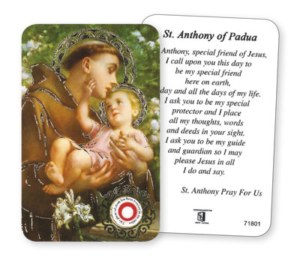 St.  Anthony Prayer Card