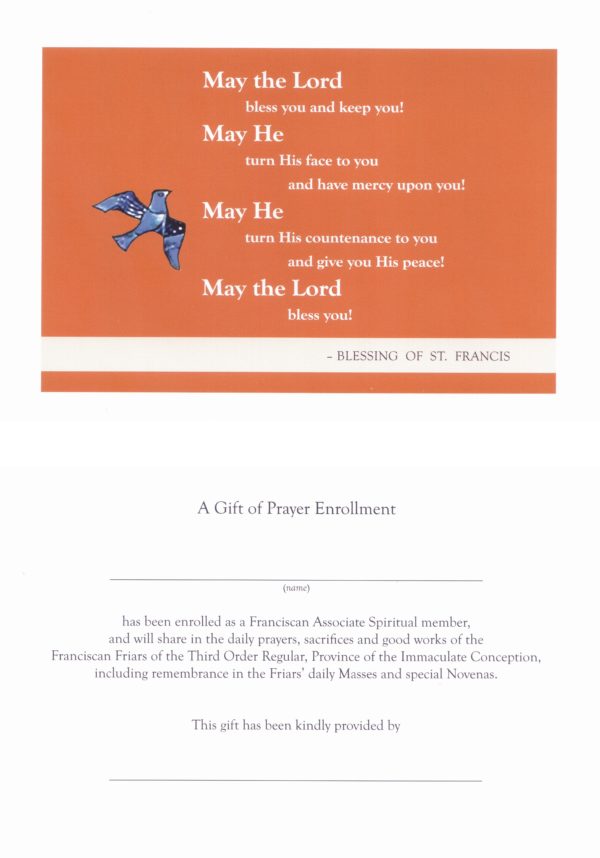 St. Francis Enrollment - Image 2